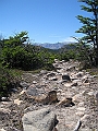 Patagonie 083